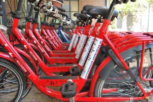 Una fila de bicicletas rojas estacionadas una al lado de la otra. en Bitter en Zoet, en Veenhuizen