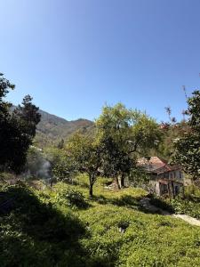a house in the middle of a field with trees at Ortabatumis house in Ch'aisubani