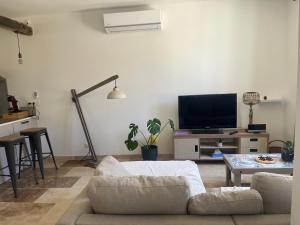 a living room with a couch and a flat screen tv at la petite colline in Cavaillon