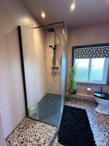 a glass shower in a bathroom with a toilet at Comfortable Room or Whole House - 4BR 1BATH 1TOILET at Suffolk Pink House, Newmarket in Newmarket