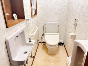 a bathroom with a toilet and a sink at 民泊やまねこ in Yachi +6 photos