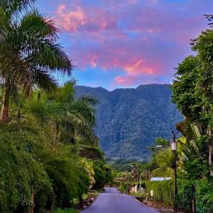 a road with palm trees on the side of a mountain at Casa Rio Tortuga - Colibri in Tortugal