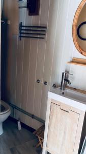 a bathroom with a sink and a toilet at Le Cercle des Neiges Étoilé in Métabief