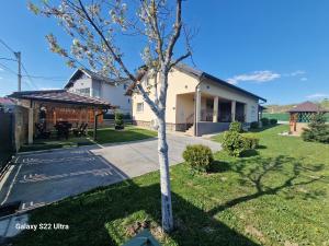 a tree in the yard of a house at Apartmani Lux Nina in Vrdnik