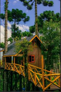 a tree house in the middle of some trees at Pousada Paraíso das Araucárias Monte Verde Vista das montanhas in Monte Verde