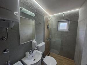a bathroom with a toilet and a sink and a shower at Eco House Nevidio in Šavnik +32 photos