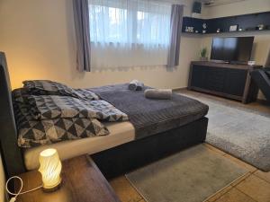 a bedroom with a bed and a flat screen tv at Holiday Apartman in Kecskemét