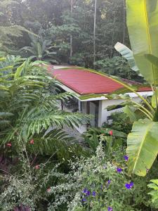 a small house with a red roof in a forest at Casa Rio Tortuga - Butterfly in Ojochal
