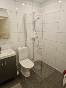 a bathroom with a shower and a toilet and a sink at Lägenhet i Sandhem in Sandhem