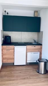 a kitchen with a sink and a counter top at Le Reflet du Lac in Malbuisson +11 photos