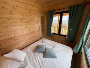 a bedroom with a bed in a log cabin at The Little House in Sohodol