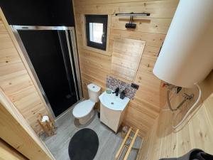 a small bathroom with a toilet and a sink at The Little House in Sohodol +19 photos