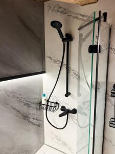 a shower with a shower head in a bathroom at KITZALPEN Pension in Hollersbach im Pinzgau +76 photos