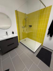 ein Badezimmer mit Dusche und Waschbecken in der Unterkunft Lenne Studio in Lennestadt + 18 Fotos