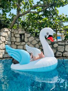 a baby laying on an inflatable swan in a pool at Apartmani ,,Del Mar'' in Ulcinj