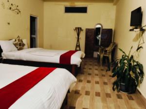 a hotel room with two beds and a tv at Tiger wildlife camp in Sauraha