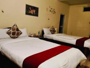 two beds sitting next to each other in a room at Tiger wildlife camp in Sauraha