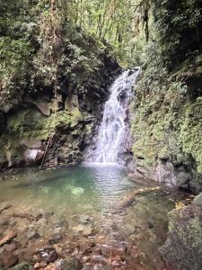 a waterfall in the middle of a pool of water at Casa Boho in Quesada