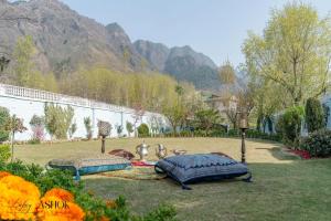 two pillows sitting on the grass in a garden at Luxury Ashok Cottage in Srinagar