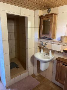 a bathroom with a sink and a shower at Chata Dolce in Trutnov