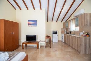 a room with a kitchen and a living room at Potami Studios in Lefkimmi
