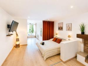 a bedroom with a bed and a television in it at Studio Les Petits Marcheurs in Saint-Claude