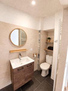 a bathroom with a sink and a toilet and a mirror at Studio Les Petits Marcheurs in Saint-Claude