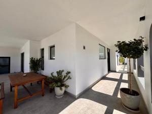 a living room with a table and potted plants at House Sworyx in Walvis Bay