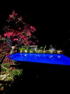 ein blauer Teich mit Blumen und einem Baum bei Nacht in der Unterkunft mrsbutt inn in Aka + 32 Fotos