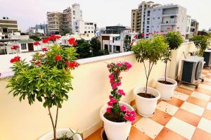 a row of potted plants on a balcony at Chitawa Haveli A Luxury Heritage Hotel in Jaipur