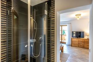 a glass shower in a room with a television at Haus Lara - Fewo 2 in Wallgau