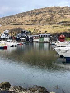 a group of boats docked in a body of water at The Red Boat House in Vestmanna