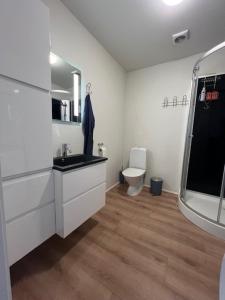 a bathroom with a sink and a toilet at The Red Boat House in Vestmanna +13 photos