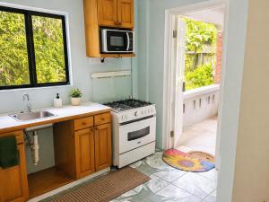 a kitchen with a stove and a sink and a window at BtC Apartments St Paul's in Saint Paulʼs
