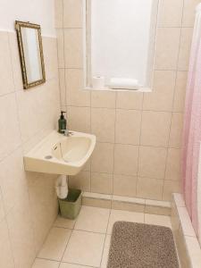 a bathroom with a sink and a mirror at BtC Apartments St Paul's in Saint Paulʼs +6 photos
