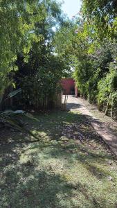 a dirt road with trees on the side of it at Casa Mitre in Luján