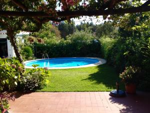 a small swimming pool in the middle of a yard at Casa de praia com piscina in Árvore