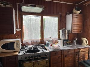 a kitchen with a stove and a microwave at Le Chalet de Marie France in Combs-la-Ville