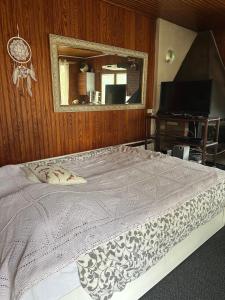 a bedroom with a bed with a mirror and a television at Le Chalet de Marie France in Combs-la-Ville