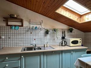 a kitchen with a sink and a microwave at Saleto Apartma in Jagodje