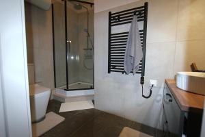 a bathroom with a shower and a toilet and a sink at Izba Kupiecka in Bystrzyca Kłodzka