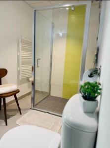 a bathroom with a shower and a toilet with a plant at Studio confortable central in La Roche-sur-Yon