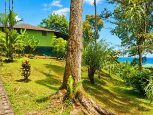a house with a palm tree in front of it at Casa Jade in Drake