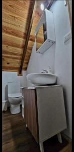 a bathroom with a sink and a toilet at Casa Hortencia in Coñaripe