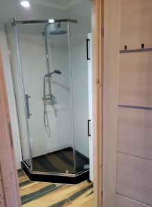 a shower with a glass door in a bathroom at Domki Pory roku in Janowice Wielkie
