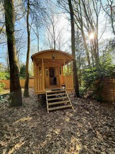 a small wooden cabin in the woods with trees at Pipowagen aan het Wandelpad in Lanaken