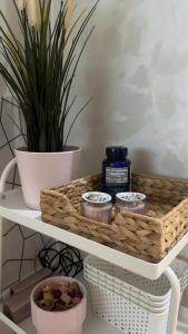 a shelf with a basket and a potted plant at Charme appartement in Mohammedia