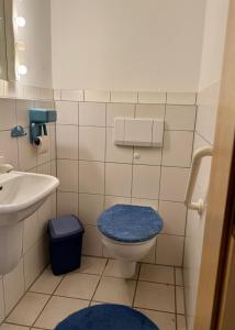 a small bathroom with a toilet and a sink at Gemütliche Ferienwohnung mit Sauna & Terrasse in Monzingen