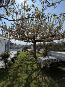 a picnic table under a tree in a yard at Vila PANORAMA in Karianí