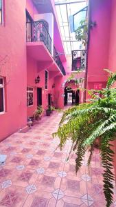 an empty hallway of a pink building with plants at Hotel Meson Mariano Matamoros in Querétaro